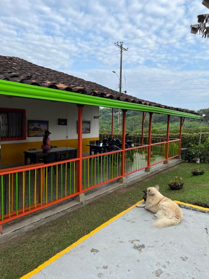 Alojamiento Campestre Hawaii Montenegro Eksteriør billede